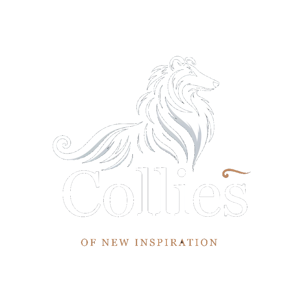collies of new inspiration