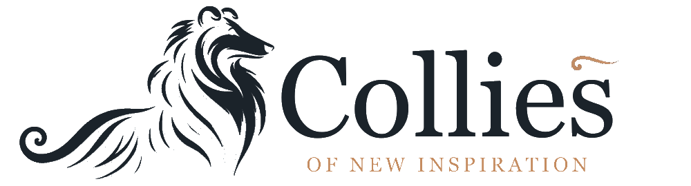 collies of new inspiration